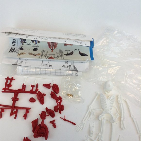 Human Body Science Kit from Educational Insights Kit #EI-2525 Teaching Tool - Picture 11 of 14